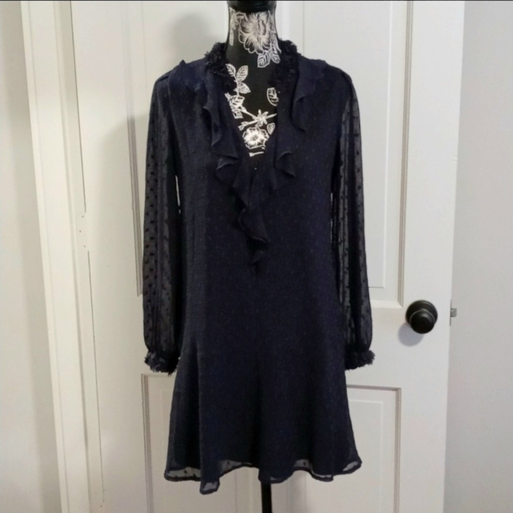 💙Zara💙 - Navy Ruffle/Swiss Dot L/S Dress